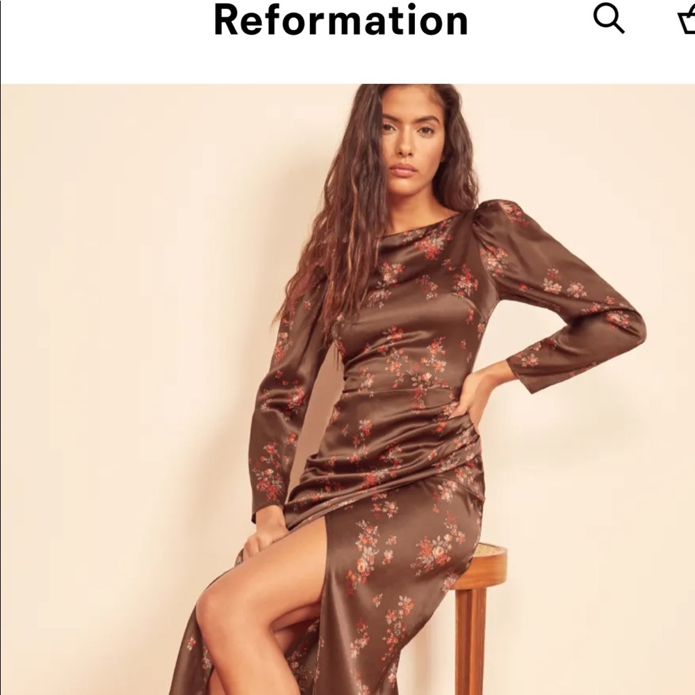 NWT 100% silk brown dress